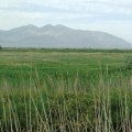 The Intersection of Human Rights and Environmental Justice in Northern Utah