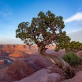 The Fight for Human Rights in Northern Utah