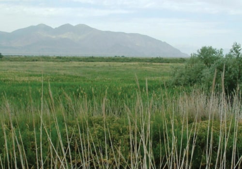 The Intersection of Human Rights and Environmental Justice in Northern Utah
